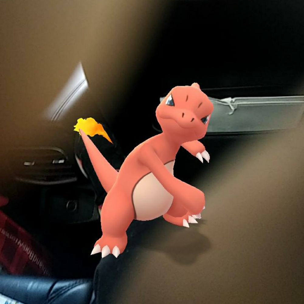 Meet your Posher, Jerry